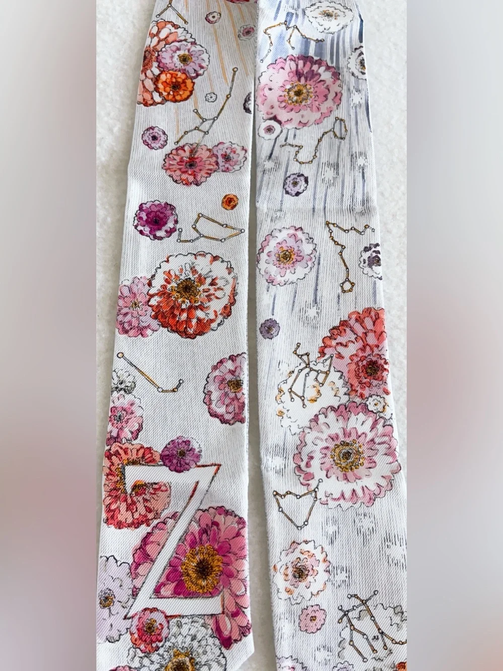 Dior Jardin D’hiver Mitzah Silk Scarf